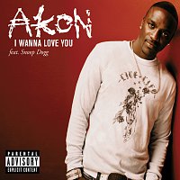 Akon, Snoop Dogg – I Wanna Love You [Intl MaxiEnhanced]