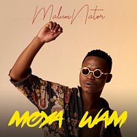 MalumNator, De Mthuda, Ntokzin – Iy'phuzo