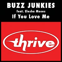 Buzz Junkies, Elesha Moses – If You Love Me [Remixes]