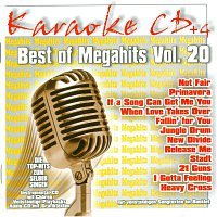 Přední strana obalu CD Best of Megahits Vol.20