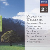 Přední strana obalu CD Vaughan Williams: Orchestral Works