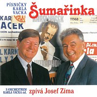 Josef Zíma – Šumařinka
