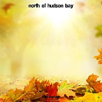 Witty Damage – North of Hudson Bay