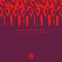 Sophie Lloyd – Calling Out (feat. Dames Brown) [Riva Starr Warehouse Remix]