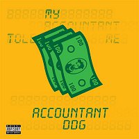 DDG – Accountant