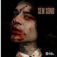 Přední strana obalu CD SEM SONO