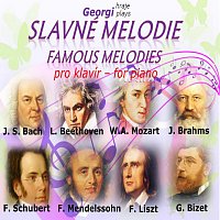 Přední strana obalu CD Slavné melodie - Famous Melodies