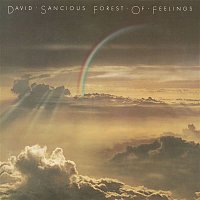 David Sancious – Forest of Feelings