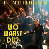 Harald Reitinger – Wo warst du