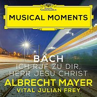 Albrecht Mayer, Vital Julian Frey – J.S. Bach: Ich ruf zu dir, Herr Jesu Christ, BWV 639 (Adapt. Tarkmann for Oboe d'amore and Harpsichord) [Musical Moments]