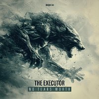 Přední strana obalu CD No Tears Worth