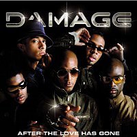 Damage – After The Love Has Gone