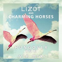 LIZOT & Charming Horses – Hungover You (VIP Mix)