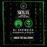 DJ Sprinkles, Hardrock Striker – Skylax House Explosion - Under The Ballroom