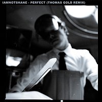 iamnotshane, Thomas Gold – Perfect [Thomas Gold Remix]