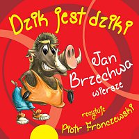 Piotr Fronczewski – Jan Brzechwa - Dzik jest dziki i inne wiersze