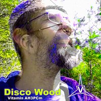 Disco Wood