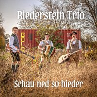 Přední strana obalu CD Schau ned so bieder