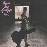 Přední strana obalu CD Never Say Goodbye