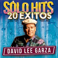 David Lee Garza – Sólo Hits [20 Éxitos]