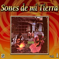 Přední strana obalu CD Colección De Oro: Sones De Mi Tierra, Vol. 1