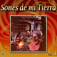 Mariachi Guadalajara, Antonio Maciel, Mariachi Mexico De Pepe Villa – Colección De Oro: Sones De Mi Tierra, Vol. 1