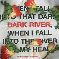 Sebastian Ingrosso – Dark River [Festival Version]