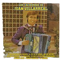 Los Cachorros De Juan Villarreal – Te Recomiendo Esa Ingrata