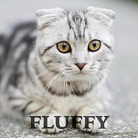 Affi Raphi – Fluffy