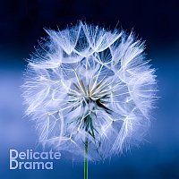 Přední strana obalu CD Delicate Drama