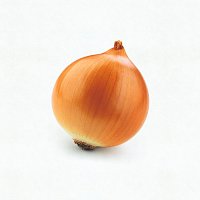 hard life – onion