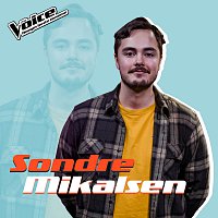 Sondre Mikalsen – Counting Stars [Fra TV-Programmet "The Voice"]