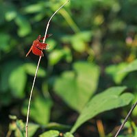 Přední strana obalu CD Happy Theory