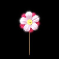 Přední strana obalu CD Mayflower