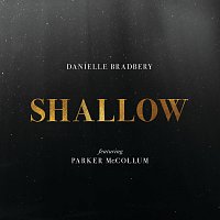 Danielle Bradbery, Parker McCollum – Shallow