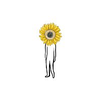 Piqued Jacks – Sunflower