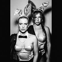 Přední strana obalu CD Pretty Waste