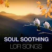 Různí interpreti – Soul Soothing Lofi Songs