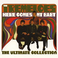 Přední strana obalu CD Here Comes My Baby: The Ultimate Collection