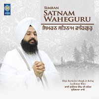 Bhai Surinder Singh Ji Sehaj Ludhiana Wale – Simran Satnam Waheguru