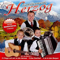Familienmusik Herzog – Ja in den Bergen