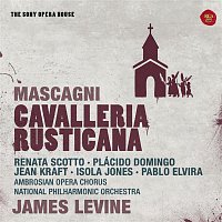 Přední strana obalu CD Mascagni: Cavalleria Rusticana - The Sony Opera House