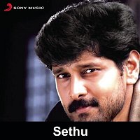 Ilaiyaraaja – Sethu