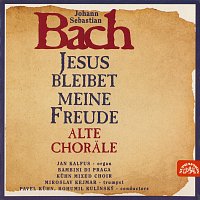Bambini di Praga, Bohumil Kulínský ml., Jan Kalfus – Bach: Chorály MP3