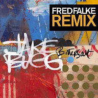 Jake Bugg – Bitter Salt [Fred Falke Remix]
