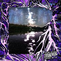 Přední strana obalu CD Insignificante