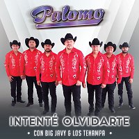 Palomo, Big Javy & Los Tenampa – Intenté Olvidarte