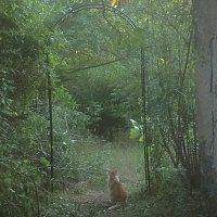 Přední strana obalu CD Eschata: Friday 13th, September 2019