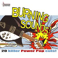 Various  Artists – Burning Sounds - 20 Killer Power Pop Cuts!