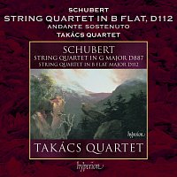 Schubert: String Quartet No. 8 in B-Flat Major, D. 112: II. Andante sostenuto